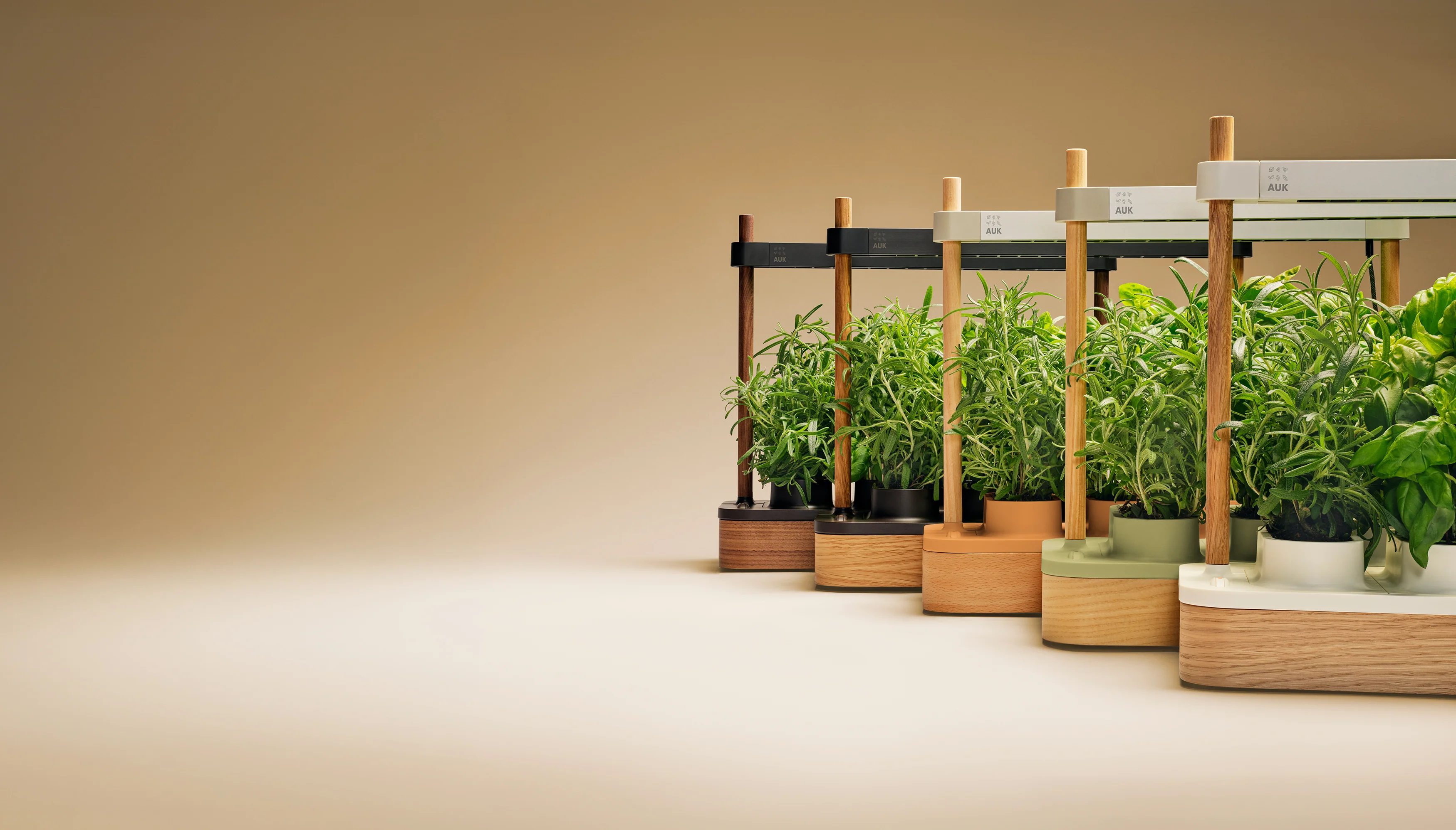 Fresh Herbs, Grown by Intelligence